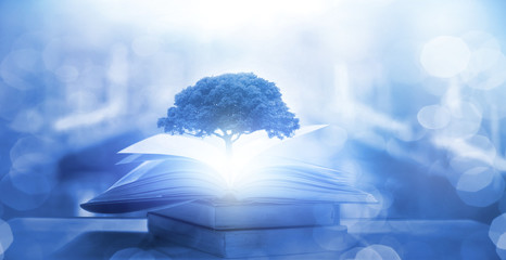 关于珍珠鸟的诗句和成语